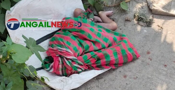 মির্জাপুরে জঙ্গল থেকে একদিনের নবজাতক ছেলের মরদেহ উদ্ধার