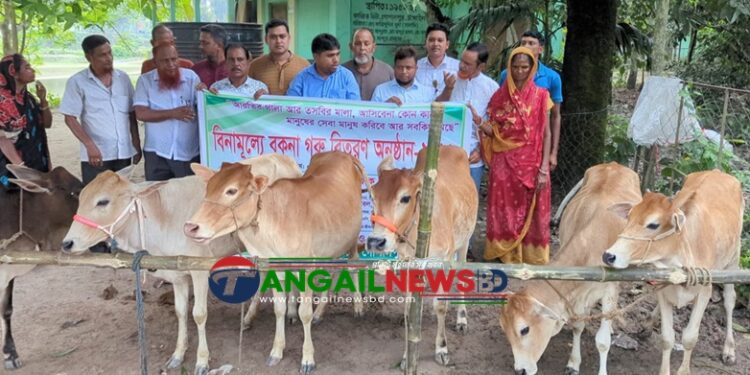 গোপালপুরে সুবিধাবঞ্চিত পরিবারের মাঝে বিনামূল্যে বকনা গরু বিতরণ