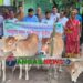 গোপালপুরে সুবিধাবঞ্চিত পরিবারের মাঝে বিনামূল্যে বকনা গরু বিতরণ