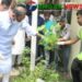 টাঙ্গাইলে হাসপাতালের আঙিনা নিজ হাতে পরিষ্কার করলেন প্রতিমন্ত্রী টুকু