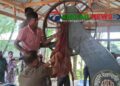 সখীপুরে অবৈধ করাত কলে অভিযানে ১৫ হাজার টাকা জরিমানা