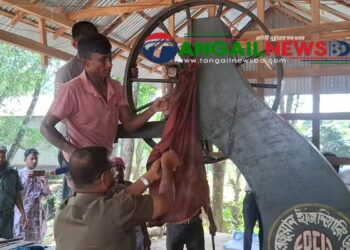 সখীপুরে অবৈধ করাত কলে অভিযানে ১৫ হাজার টাকা জরিমানা