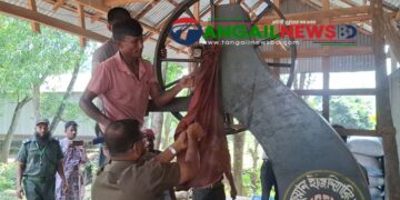 সখীপুরে অবৈধ করাত কলে অভিযানে ১৫ হাজার টাকা জরিমানা