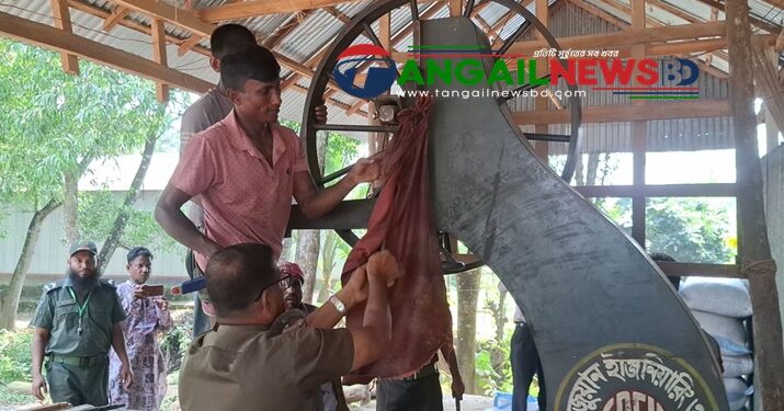 সখীপুরে অবৈধ করাত কলে অভিযানে ১৫ হাজার টাকা জরিমানা