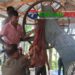 সখীপুরে অবৈধ করাত কলে অভিযানে ১৫ হাজার টাকা জরিমানা