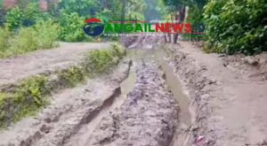 নাগরপুরের দপ্তিয়রে দীর্ঘদিন ধরে বেহাল সারোটিয়া গাজী গ্রামের প্রধান সড়ক