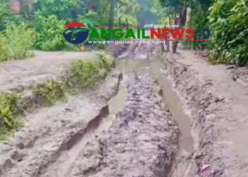 নাগরপুরের দপ্তিয়রে দীর্ঘদিন ধরে বেহাল সারোটিয়া গাজী গ্রামের প্রধান সড়ক