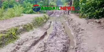 নাগরপুরের দপ্তিয়রে দীর্ঘদিন ধরে বেহাল সারোটিয়া গাজী গ্রামের প্রধান সড়ক