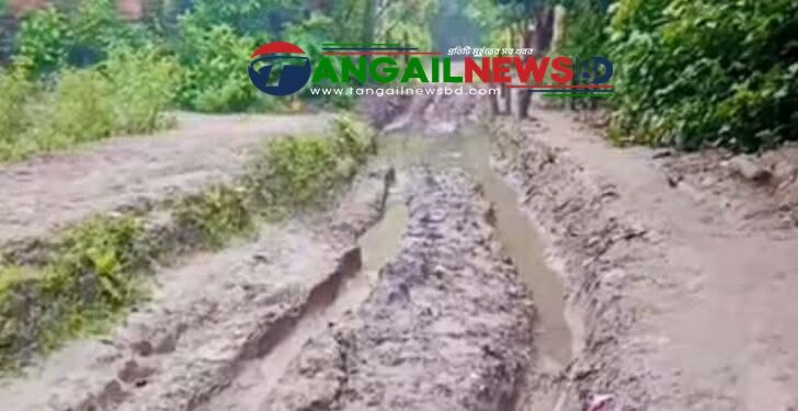 নাগরপুরের দপ্তিয়রে দীর্ঘদিন ধরে বেহাল সারোটিয়া গাজী গ্রামের প্রধান সড়ক