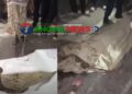 ধনবাড়ীতে যাত্রীবাহী বাস চাপায় এক বৃদ্ধা নারীর মৃত্যু