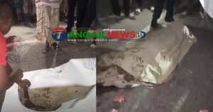 ধনবাড়ীতে যাত্রীবাহী বাস চাপায় এক বৃদ্ধা নারীর মৃত্যু