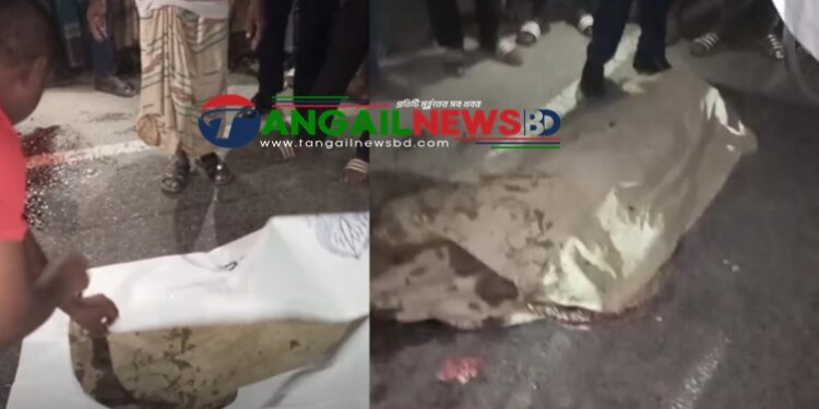 ধনবাড়ীতে যাত্রীবাহী বাস চাপায় এক বৃদ্ধা নারীর মৃত্যু