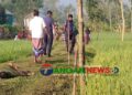 সখীপুরে ধানক্ষেতের আইল থেকে স্কুলে নিরাপত্তাকর্মীর মরদেহ উদ্ধার