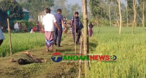 সখীপুরে ধানক্ষেতের আইল থেকে স্কুলে নিরাপত্তাকর্মীর মরদেহ উদ্ধার