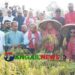 দেশে প্রায় ২ কোটি ৭৫ লক্ষ কৃষককে ডিজিটাল প্ল্যাটফর্মে আনার উদ্যোগ গ্রহণ করা হয়েছে- তথ্যপ্রযুক্তি মন্ত্রী