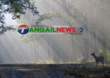 মধুপুরে বন্য পশুর আক্রমনে স্কুলে যেতে ভয় পাচ্ছে শিশুরা