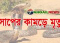 মির্জাপুরে সাপের কামড়ে গৃহবধূ সুরুতির মৃত্যু