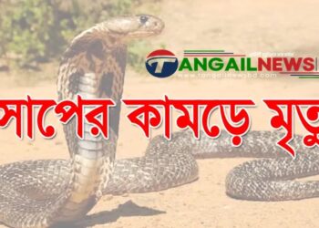 মির্জাপুরে সাপের কামড়ে গৃহবধূ সুরুতির মৃত্যু