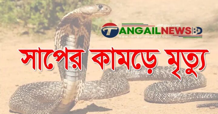 মির্জাপুরে সাপের কামড়ে গৃহবধূ সুরুতির মৃত্যু
