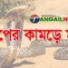 মির্জাপুরে সাপের কামড়ে গৃহবধূ সুরুতির মৃত্যু