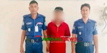 ধনবাড়ীতে ৭৮ পিস ইয়াবাসহ রুবেল আহমেদ গ্রেফতার