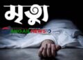 গোপালপুরে ভ্যান থেকে পড়ে আহত বৃদ্ধের মৃত্যু