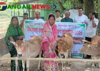 গোপালপুরে বিনামূল্যে হতদরিদ্রের পরিবারের মাঝে বকনা গরু বিতরণ