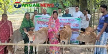 গোপালপুরে বিনামূল্যে হতদরিদ্রের পরিবারের মাঝে বকনা গরু বিতরণ