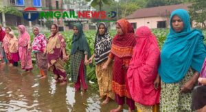 ঘাটাইল পৌর এলাকায় অপরিকল্পিত ড্রেনেজ ব্যবস্থায় দুর্ভোগ জনগনের