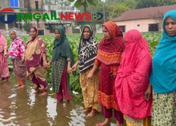 ঘাটাইল পৌর এলাকায় অপরিকল্পিত ড্রেনেজ ব্যবস্থায় দুর্ভোগ জনগনের