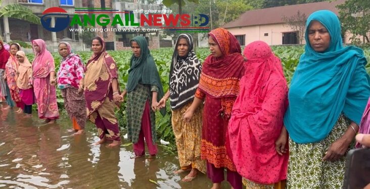 ঘাটাইল পৌর এলাকায় অপরিকল্পিত ড্রেনেজ ব্যবস্থায় দুর্ভোগ জনগনের