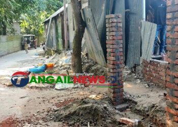 দেলদুয়ারে বীর মুক্তিযোদ্ধার বাড়ীর নিরাপত্তা গেইট নির্মাণে বাঁধা দেয়ার অভিযোগ