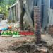 দেলদুয়ারে বীর মুক্তিযোদ্ধার বাড়ীর নিরাপত্তা গেইট নির্মাণে বাঁধা দেয়ার অভিযোগ