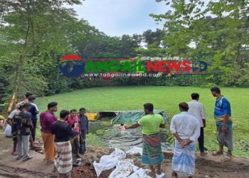 মির্জাপুরে নিয়ন্ত্রণ হারিয়ে ৩০০ বস্তা সার বোঝাই ট্রাক পুকুরে