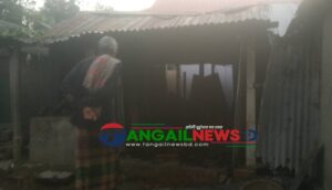 মির্জাপুরে অগ্নিকাণ্ডে ঘরসহ দুই গরু পুড়ে মারা গেছে