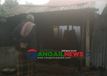 মির্জাপুরে অগ্নিকাণ্ডে ঘরসহ দুই গরু পুড়ে মারা গেছে