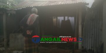 মির্জাপুরে অগ্নিকাণ্ডে ঘরসহ দুই গরু পুড়ে মারা গেছে
