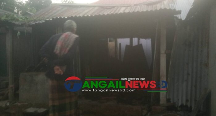 মির্জাপুরে অগ্নিকাণ্ডে ঘরসহ দুই গরু পুড়ে মারা গেছে