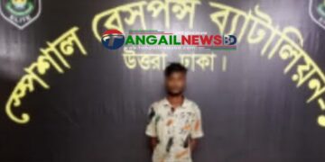 কালিহাতীতে শিশু ধর্ষণের অভিযোগে পলাতক আসামি ঢাকায় গ্রেপ্তার