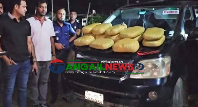 টাঙ্গাইল ট্রাফিক বিভাগের অভিযানে মাইক্রোবাস থেকে ৩১ কেজি গাঁজা আটক