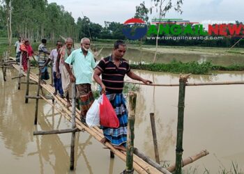 সখীপুরের মরিচকুঁড়ি খালে বাঁশের সাঁকোতেই পারাপার দুই ইউনিয়নের মানুষের