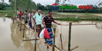 সখীপুরের মরিচকুঁড়ি খালে বাঁশের সাঁকোতেই পারাপার দুই ইউনিয়নের মানুষের