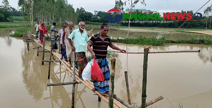 সখীপুরের মরিচকুঁড়ি খালে বাঁশের সাঁকোতেই পারাপার দুই ইউনিয়নের মানুষের