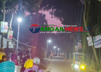 বাসাইলের সোনালিয়ায় প্রবাসীদের অর্থে আলোকিত তিন কিলোমিটার সড়ক