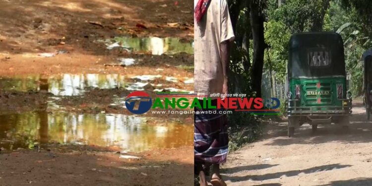 ৩০ গ্রামের মানুষের চলাচলে এলেঙ্গা-মগড়া ৭ কি.মি. সড়ক এখন মরণফাঁদ