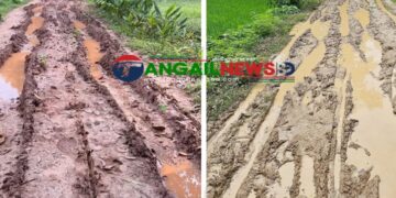 মির্জাপুরের পাহাড়ি সড়কের বেহাল অবস্থা ॥ দুর্ভোগে চার ইউনিয়নের মানুষ